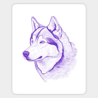 Alaskan Malamute Dog Minimalistic Purple Line drawing Magnet